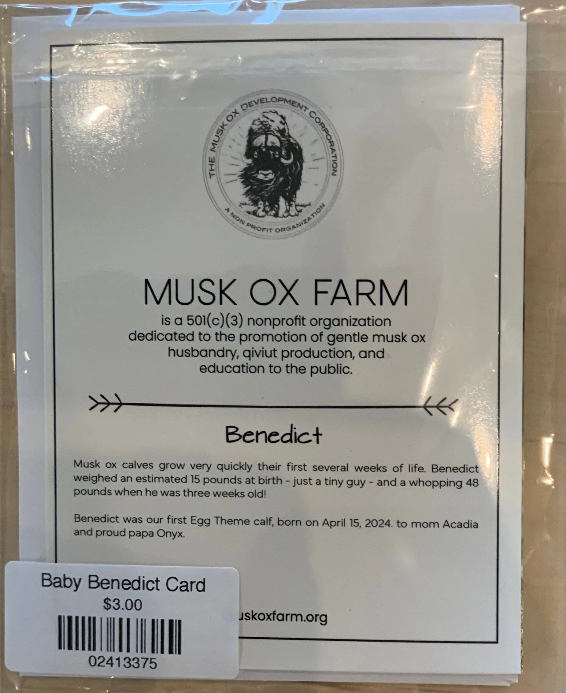 Baby Benedict Card