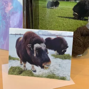 Lunch Time Card