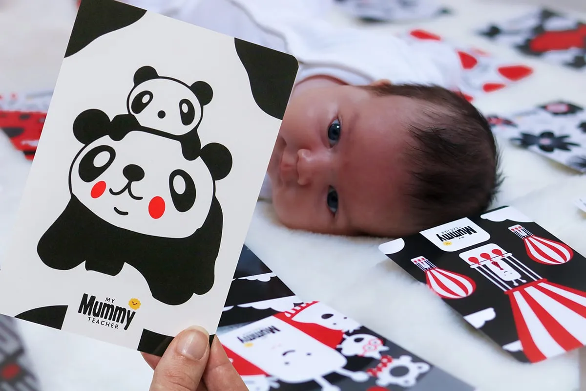 My First Sensory Flashcards