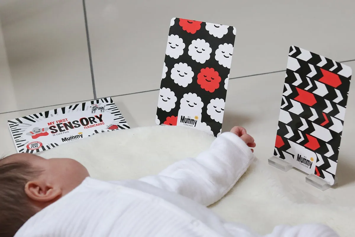 My First Sensory Flashcards