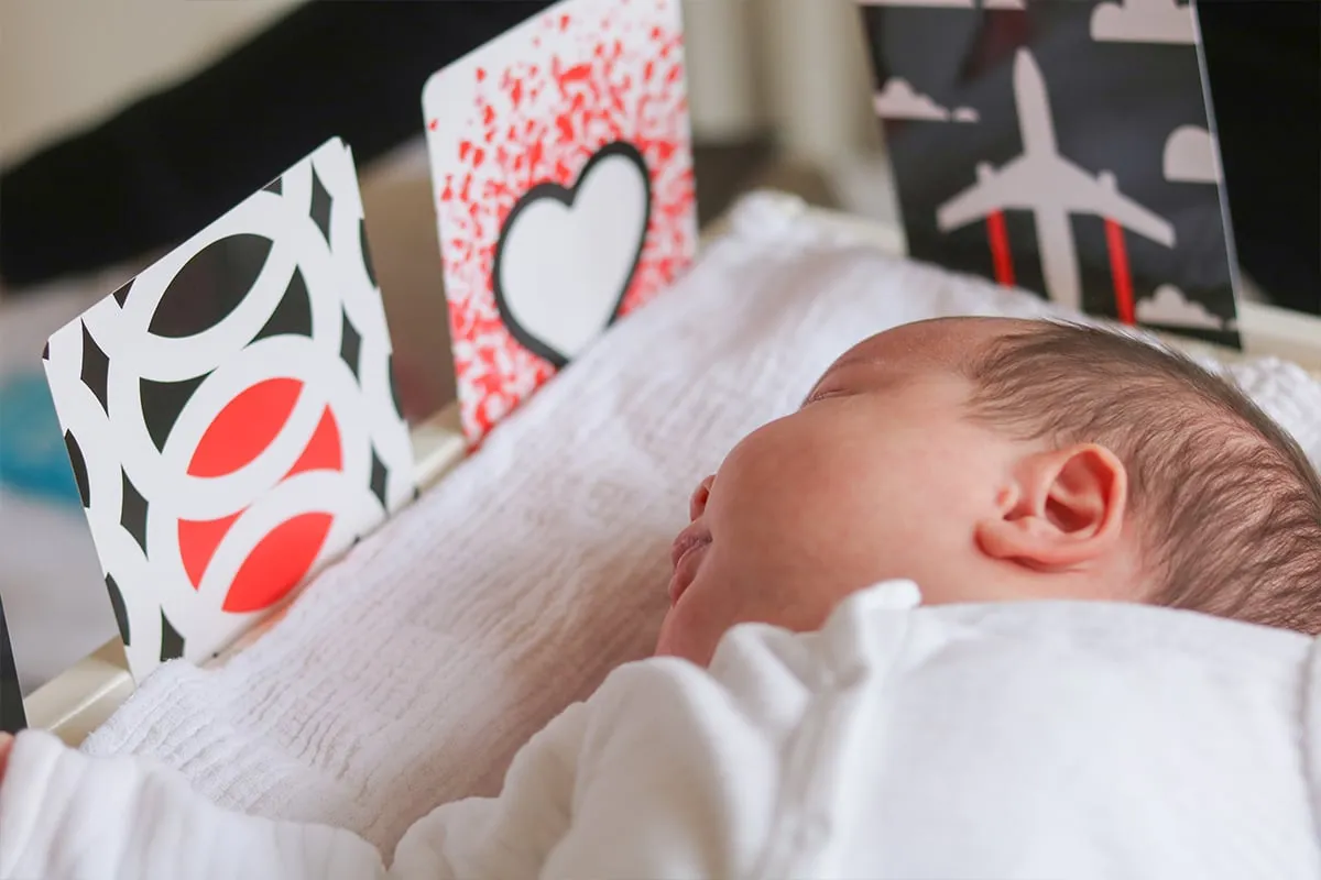 My First Sensory Flashcards