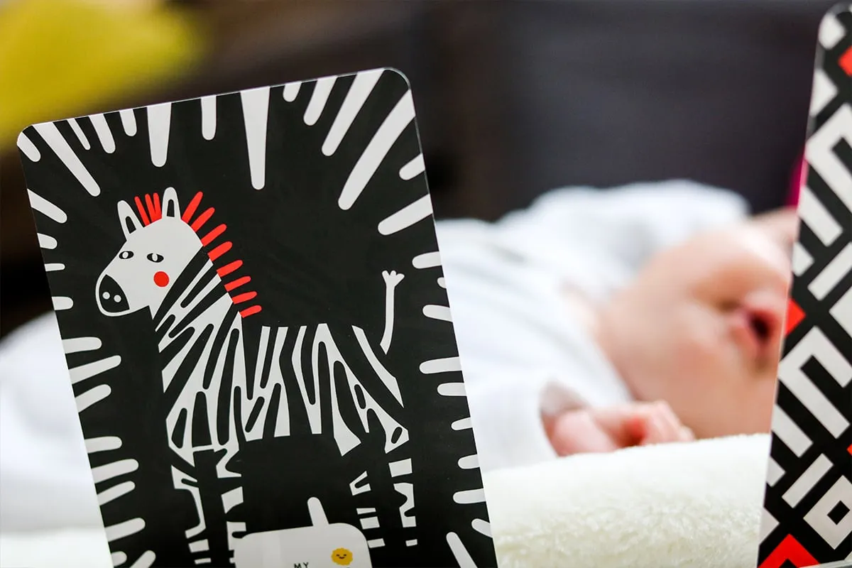 My First Sensory Flashcards