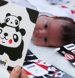 My First Sensory Flashcards