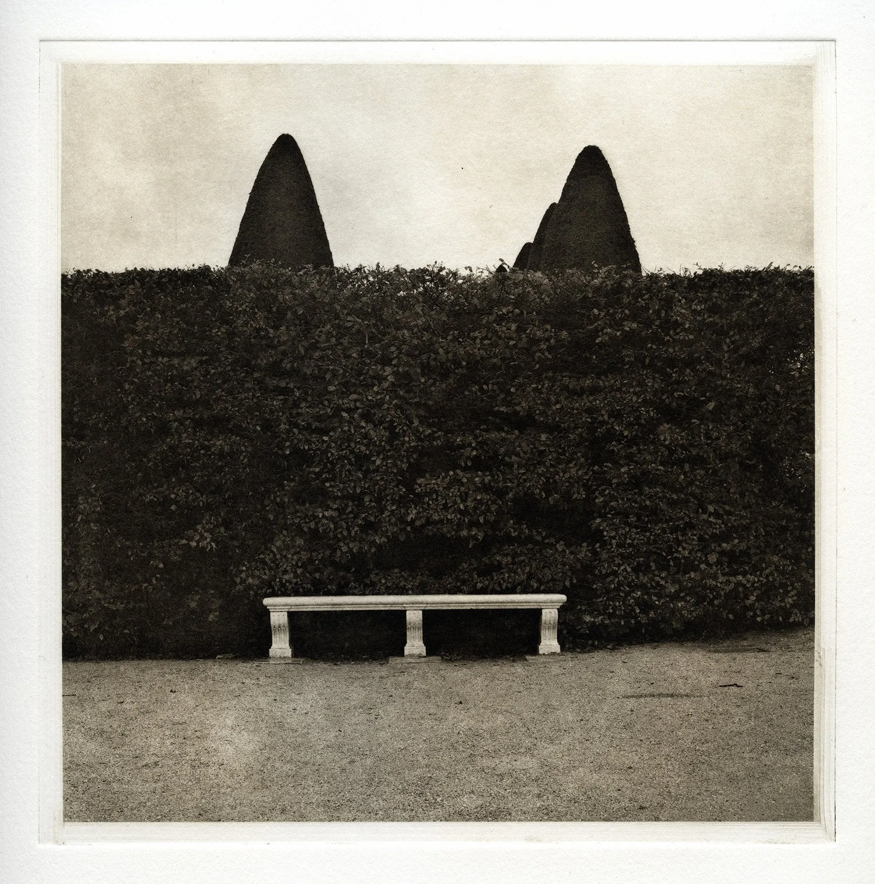 The Inky Photographer: Polymer Photogravure - December 14 -15, 2024